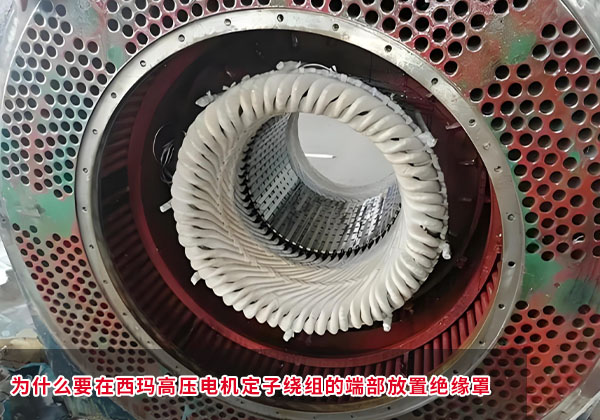 为什么要在西玛高压电机定子绕组的端部放置绝缘罩.jpg