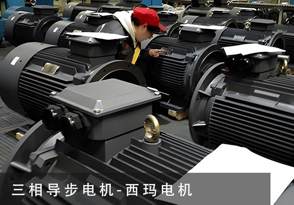 三相导步电机.jpg