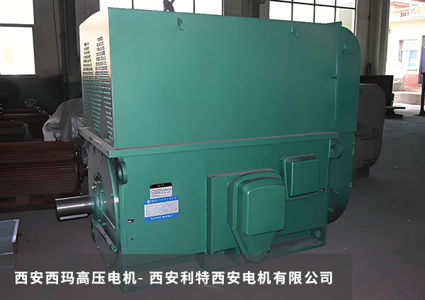 西安西玛高压电机