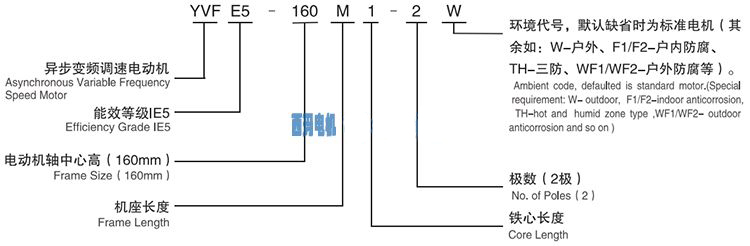 1-240H2160232U2.jpg